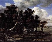 Jacob Isaacksz. van Ruisdael, Oaks by a Lake with Waterlilies